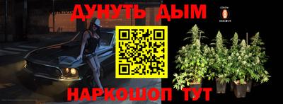 ешки Краснознаменск