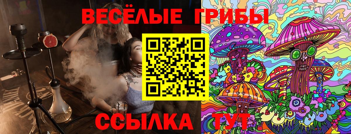 Псилоцибиновые грибы Cubensis  Вход с VPN  Шебекино  Псилоцибиновые грибы Cubensis 